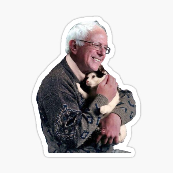 Vista previa del artículo con la obra «Bernie Sanders Gracioso Gato Lindo», diseñado y vendido por stickertopic.