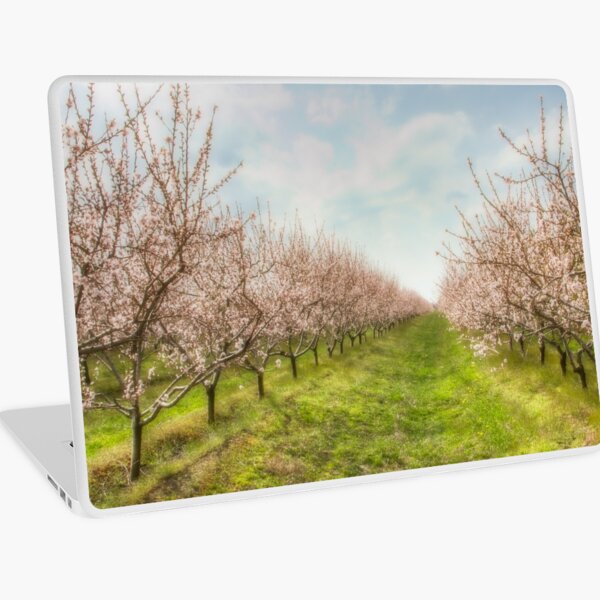 Item preview, Niagara's Spring designed and sold by Marilyn Cornwell.
