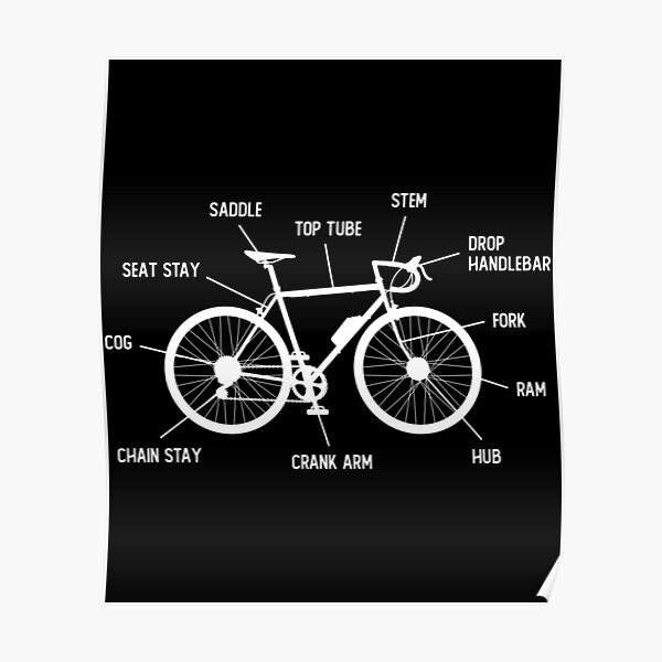 Cycling Anatomy Posters Redbubble