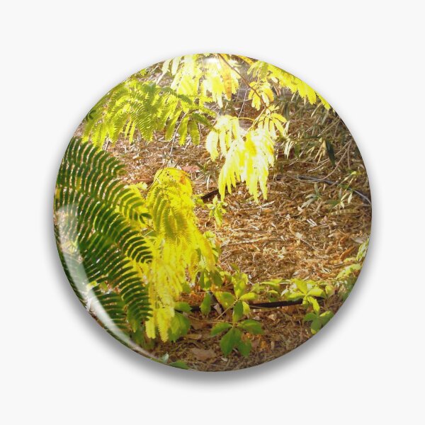 Item preview, Mimosa leaves  designed and sold by Shulie1.
