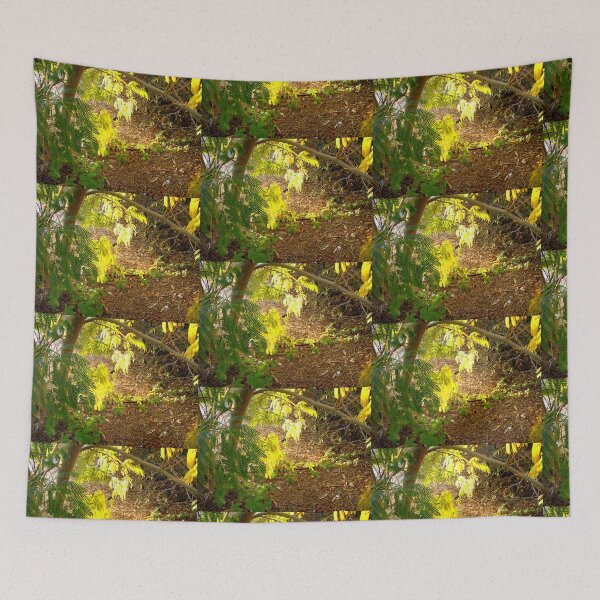 Item preview, Mimosa leaves  designed and sold by Shulie1.