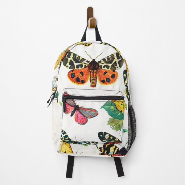 Item preview, Butterflies, Moths, Caterpillar, Antique Natural History Illustration designed and sold by Glimmersmith.