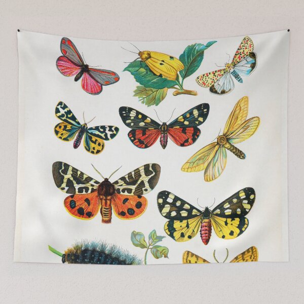 Item preview, Butterflies, Moths, Caterpillar, Antique Natural History Illustration designed and sold by Glimmersmith.
