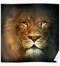 Narnia Lion Poster