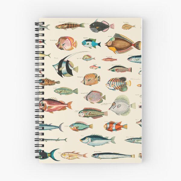 Item preview, Best Dad Gift! Vintage 1700's Fish Illustrations  designed and sold by LeGND.
