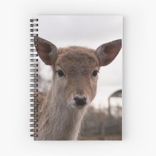 Item preview, Young little deer  designed and sold by koalas1414.