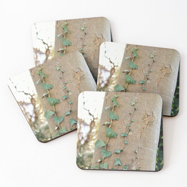Item preview, Ivy on tree in the urban garden designed and sold by wineandwords.