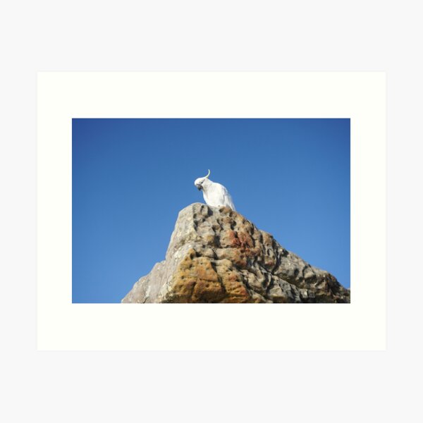 Item preview, Cockatoo on Top of the World designed and sold by Annalucia.