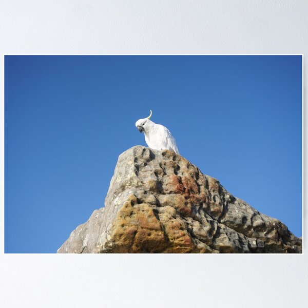 Item preview, Cockatoo on Top of the World designed and sold by Annalucia.