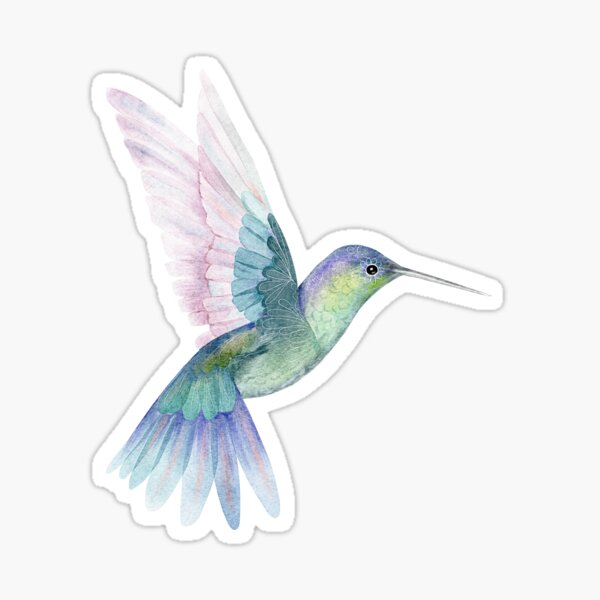 Hummingbird Lover Sticker