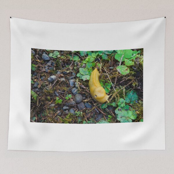 Item preview, Banana Slug designed and sold by Paris Abdella.