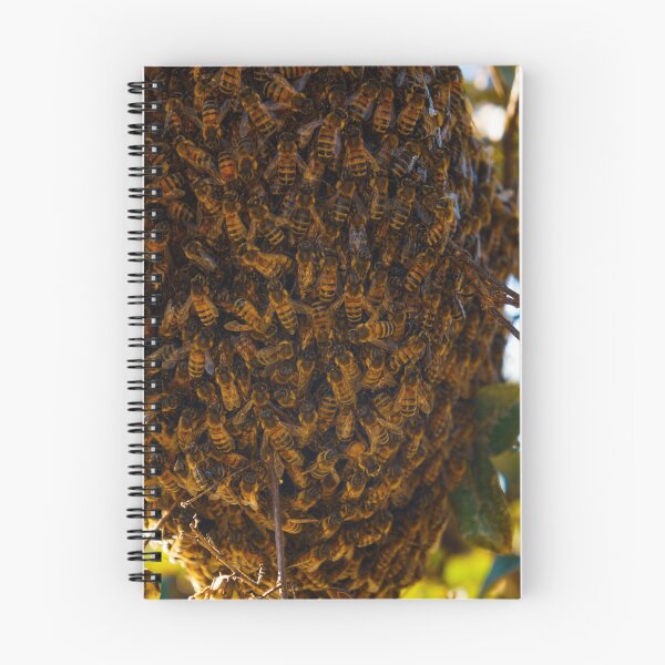 Item preview, Bee Swarm designed and sold by Paris Abdella.