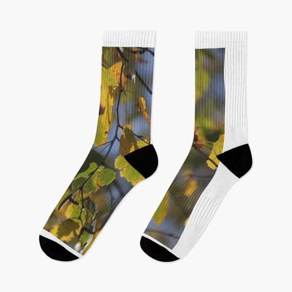Item preview, Autumnal colorful birch leaves designed and sold by Hubiundhubi.