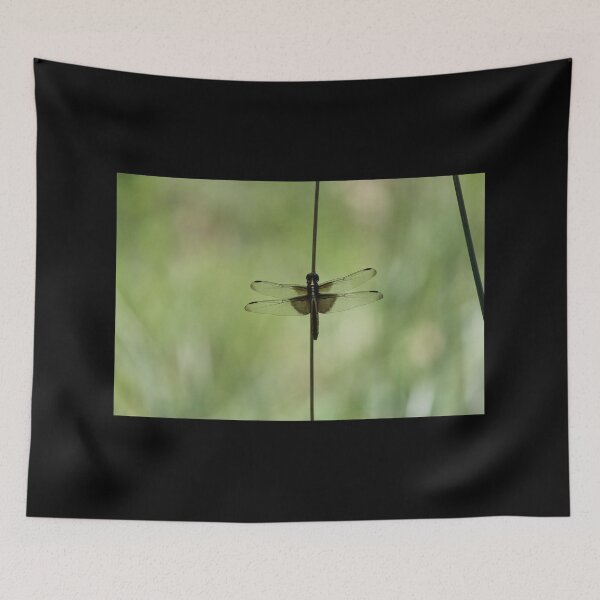 Item preview, Dragonfly Silhouette designed and sold by LisaNaturePhoto.