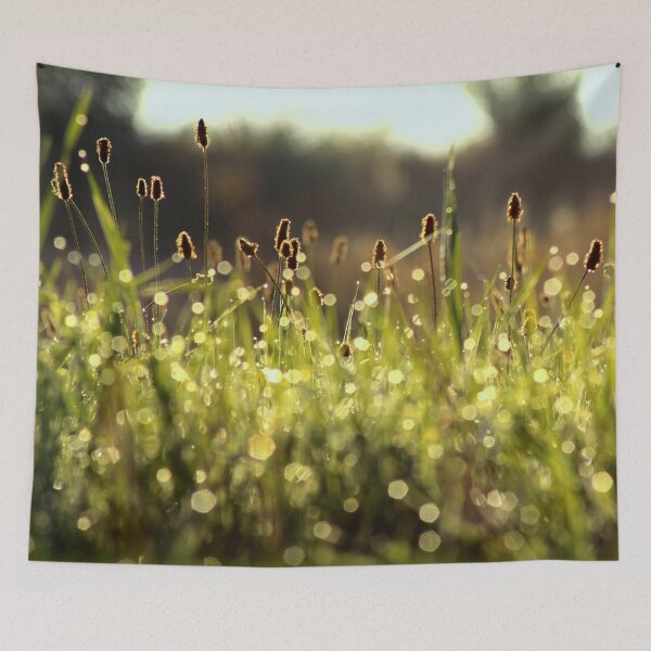 Item preview, Meadow in the early morning dew designed and sold by Hubiundhubi.
