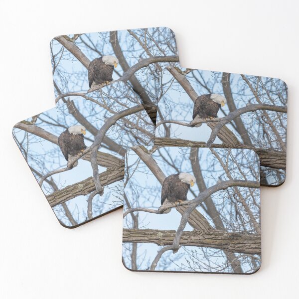 Item preview, Bald Eagle 2021-3 designed and sold by Thomasyoung.