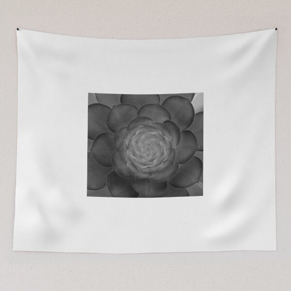 Item preview, Succulent Plant designed and sold by Paris Abdella.