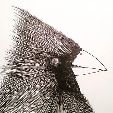 Artwork thumbnail, Bird by Mathskishop