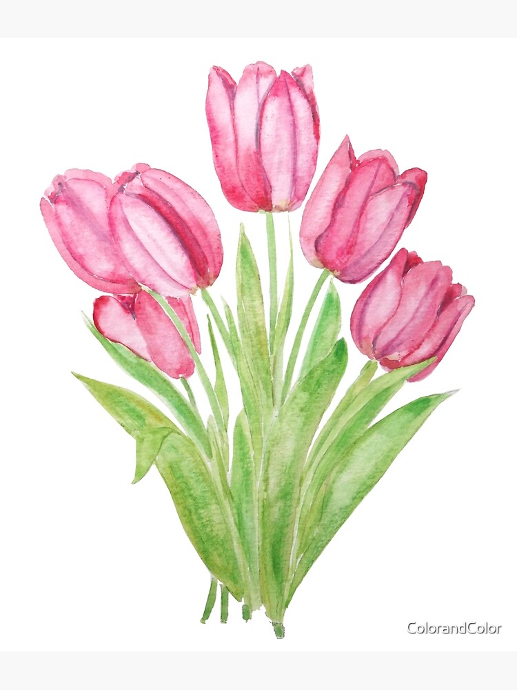 Thumbnail 3 of 3, Art Print, hand painted pink tulips flowers watercolor painting designed and sold by ColorandColor.