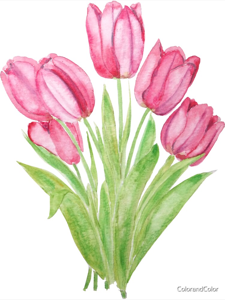 Thumbnail 3 of 3, Magnet, hand painted pink tulips flowers watercolor painting designed and sold by ColorandColor.