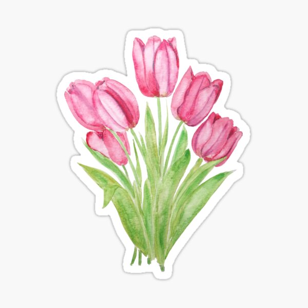 pink tulips flowers  watercolor painting  Sticker