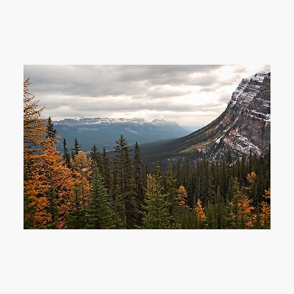 Item preview, Alpine View designed and sold by Catherine Reading.