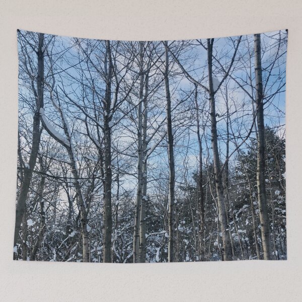 Item preview, Tall Naked Trees During Winter   designed and sold by Travelforever.
