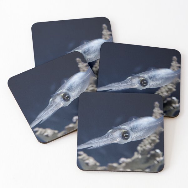 Item preview, Cuttlefish at Monterey Bay Aquarium designed and sold by Paris Abdella.