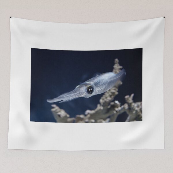 Item preview, Cuttlefish at Monterey Bay Aquarium designed and sold by Paris Abdella.