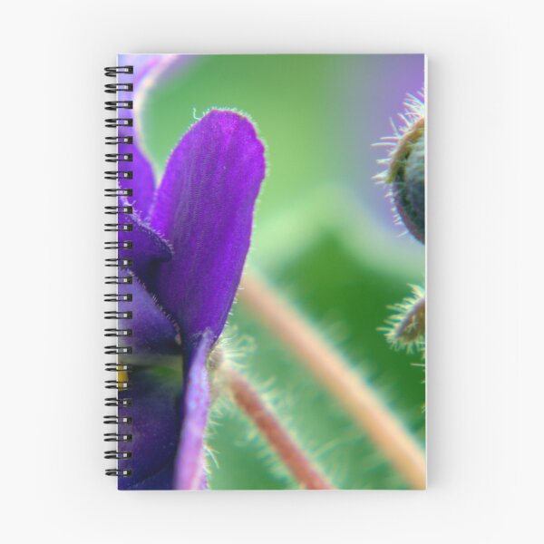 Item preview, Nature macro designed and sold by PeterCseke.
