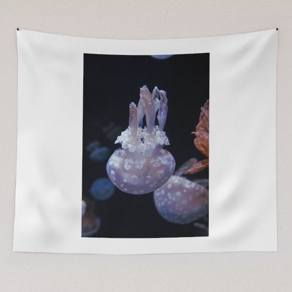 Item preview, Flame Jellyfish at the Monterey Bay Aquarium designed and sold by Paris Abdella.