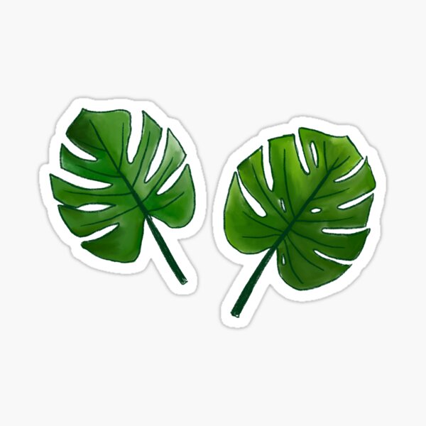 Mostera Leaves Sticker