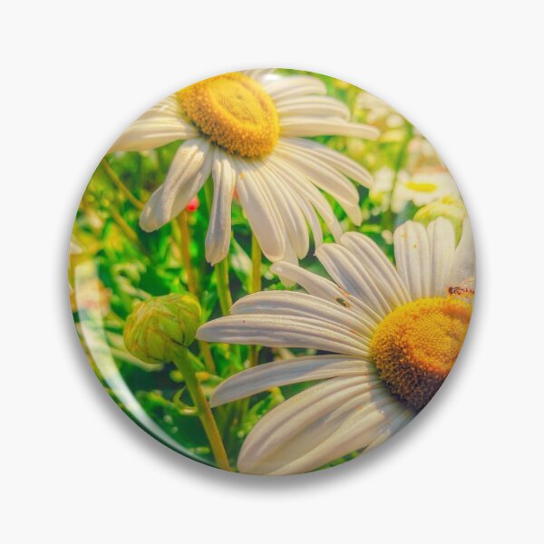Item preview, Stylized Vintage White Gerber Daisies  with a cute little bug on the petals. designed and sold by PrettyLittlePic.