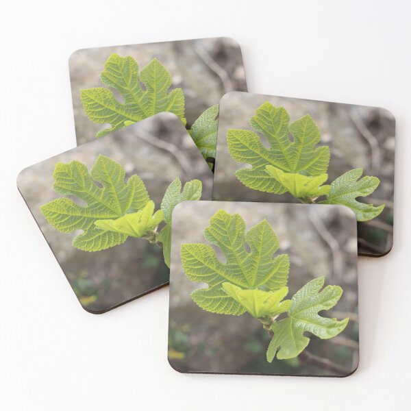 Item preview, Fig Leaves designed and sold by SweepingShadows.