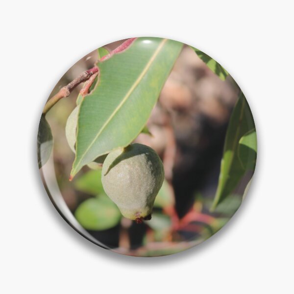 Item preview, Three Gumnuts designed and sold by Michaela Perryman.