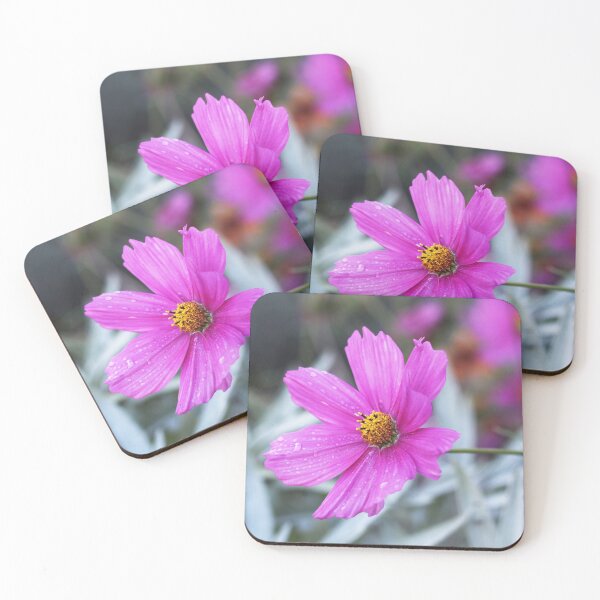 Artikelvorschau, Pink Kosmos Blume entworfen und verkauft von SweepingShadows.