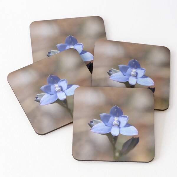 Item preview, Scented Sun Orchid designed and sold by Michaela Perryman.