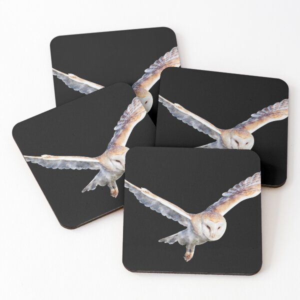 Item preview, Barn Owl Watercolor Sticker designed and sold by Typeglyphs.