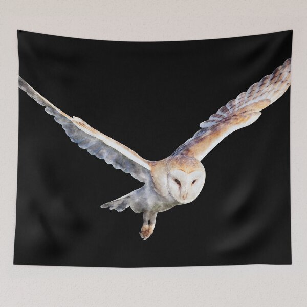 Item preview, Barn Owl Watercolor Sticker designed and sold by Typeglyphs.