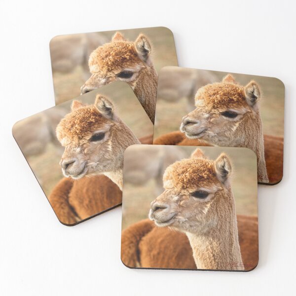 Item preview, Alpaca Portrait designed and sold by Wolf Sverak Photography.