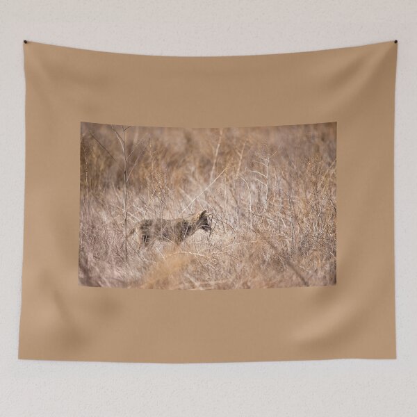 Item preview, Stalking Coyote designed and sold by CarolM.