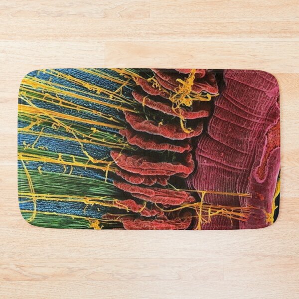 Item preview, Human Eye Under Electron Microscope designed and sold by ACH-Designs.