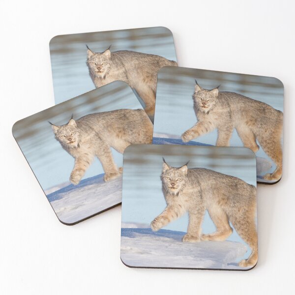 Item preview, Canadian Lynx designed and sold by Jukka Jantunen.