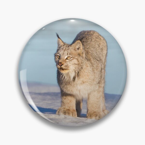 Item preview, Canadian Lynx designed and sold by Jukka Jantunen.
