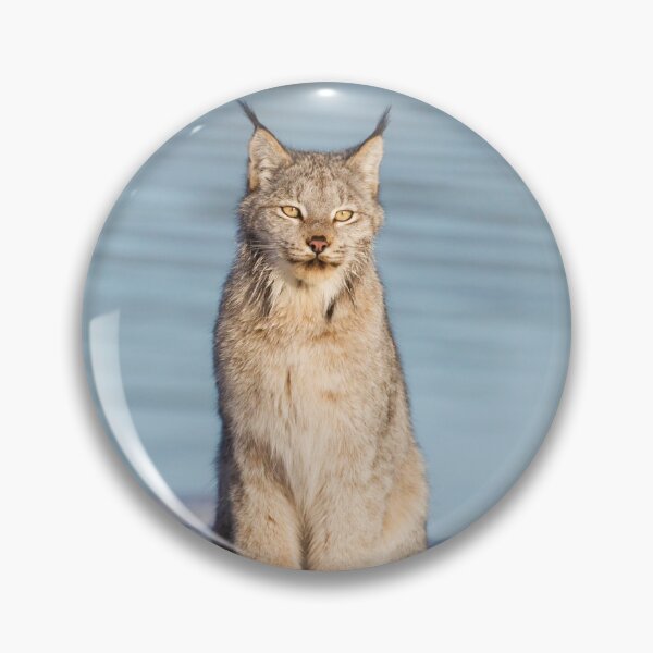 Item preview, Canadian Lynx designed and sold by Jukka Jantunen.