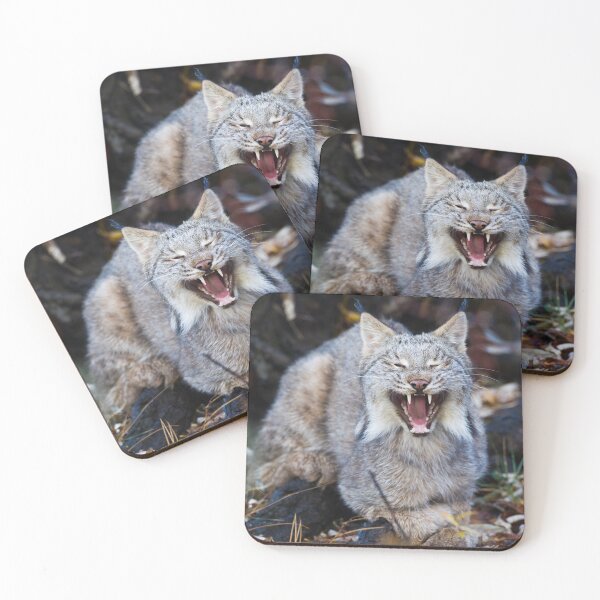 Item preview, Canadian Lynx designed and sold by Jukka Jantunen.