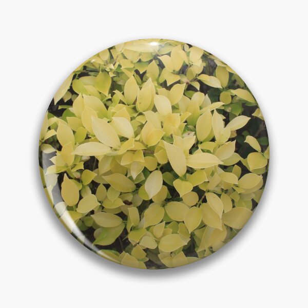 Item preview, Hedge of Yellow Leaves designed and sold by Sinemathk.