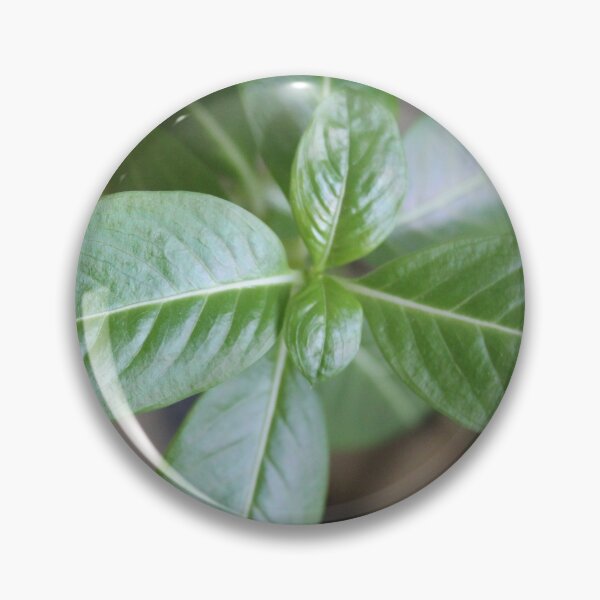 Item preview, Green Leaved Plant designed and sold by Sinemathk.