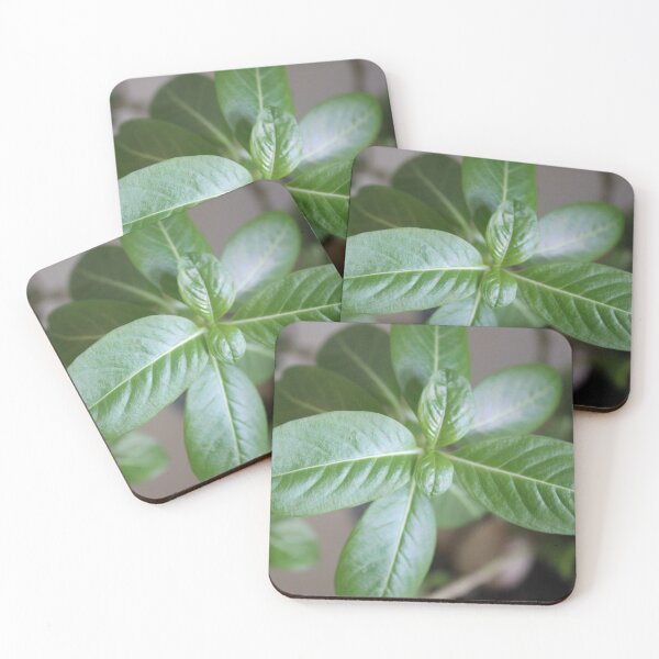 Item preview, Green Leaved Plant designed and sold by Sinemathk.