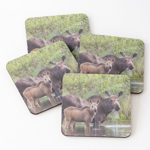 Item preview, Moose cow and calf designed and sold by Jukka Jantunen.